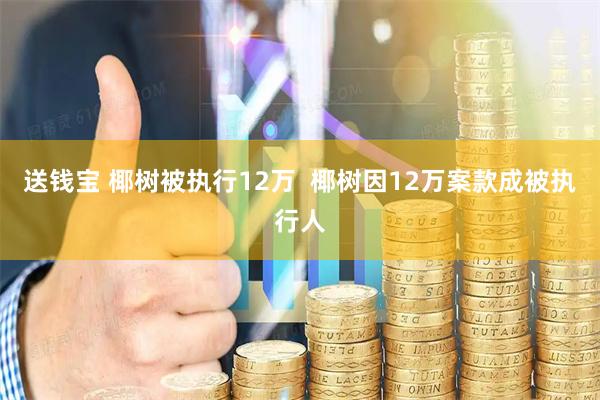 送钱宝 椰树被执行12万  椰树因12万案款成被执行人