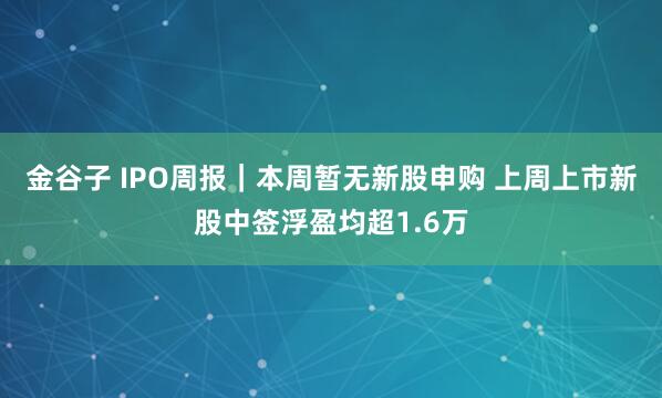 金谷子 IPO周报｜本周暂无新股申购 上周上市新股中签浮盈均超1.6万