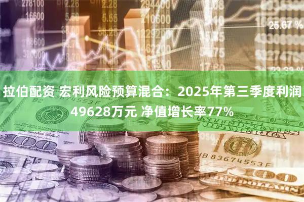 拉伯配资 宏利风险预算混合：2025年第三季度利润49628万元 净值增长率77%